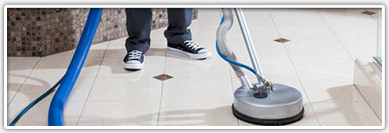 professional steam cleaners